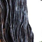 Tips For Healthy Hair :  healthy hair hair care tips manageable hair nourish hair