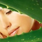 aloe-vera-benefits